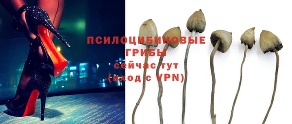 a pvp Алексин