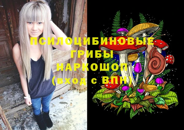 a pvp Алексин