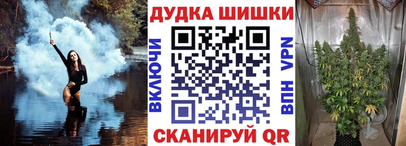 дарнет шоп  Мичуринск  Бошки марихуана OG Kush 